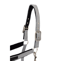 Cabresto Delémont Horze Liga Cinzento