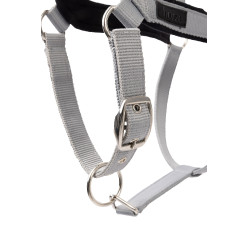 Cabresto Delémont Horze Liga Cinzento