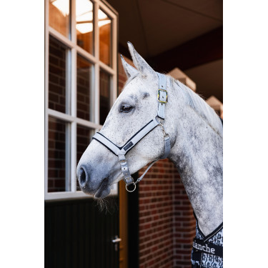 Cabresto Delémont Horze Liga Cinzento