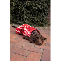 Cobertura de Natal para cão Horze Vermelho