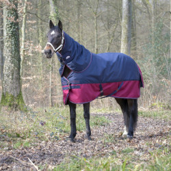 Cobre-pescoço Equithème Tyrex 1200 D 0g Marinho / bordô Azul