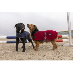 Cobertor polar Diego & Louna Teddy Cobertor polar Diego & Louna Teddy