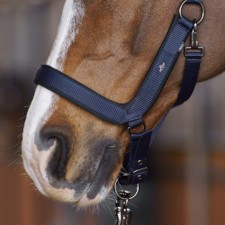 Cabeçada HV Polo Essential Marinho Azul-marinho