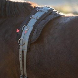 Cilindro de trabalho nylon Imperial Riding Deluxe Extra Sálvia escura Azul