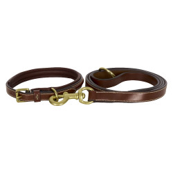 Coleira para cão HV Polo Legacy Castanho