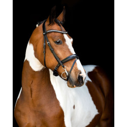 Bridão Montar cabeçada Anatômica Fair Preto