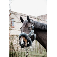 Cabeçada de cabresto de transporte para ovelha Kentucky Cinzento