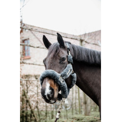 Cabeçada de cabresto de transporte para ovelha Kentucky Cinzento