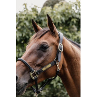 Cabeçada para Cilha Anatômica em couro Kentucky Castanho