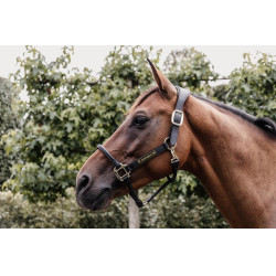 Cabeçada para Cilha Anatômica em couro Kentucky Preto