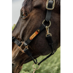 Cabeçada de cabresto de controle Kentucky Preto