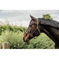 Cabeleira para Cabezada Flexível Kentucky Castanho