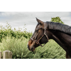 Cabeleira para Cabezada Flexível Kentucky Castanho