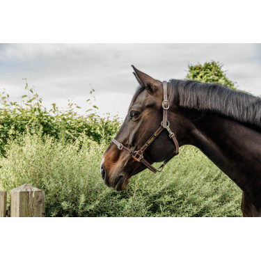 Cabeleira para Cabezada Flexível Kentucky Castanho