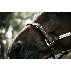 Cabeleira para Cabezada Flexível Kentucky Castanho