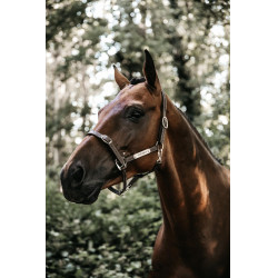 Cabeleira para Cabezada Flexível Kentucky Castanho