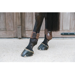 Protetor de boleto elástico Kentucky Castanho Protetor de boleto elástico Kentucky Castanho