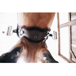 Ovelha removível para Cinturão Anatômico curto Kentucky Castanho