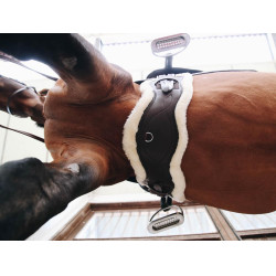Ovelha removível para Cinturão Anatômico curto Kentucky Ovelha removível para Cinturão Anatômico curto Kentucky