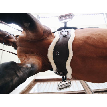 Ovelha removível para Cinturão Anatômico curto Kentucky Ovelha removível para Cinturão Anatômico curto Kentucky