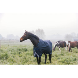 Turnout Rug All Weather Waterproof Comfort Kentucky Turnout Rug All Weather Waterproof Comfort Kentucky