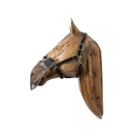 Filete de nariz Kentucky Cinzento Filete de nariz Kentucky Cinzento