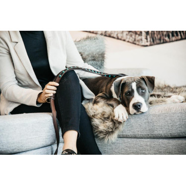 Trela para cão em contas feitas à mão Kentucky Preto