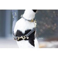 Trela para cão Pied-de-poule Kentucky Bege