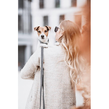 Trela para cão Pied-de-poule Kentucky Preto Trela para cão Pied-de-poule Kentucky Preto