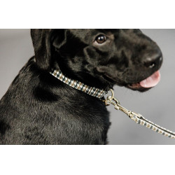 Trela para cão Pied-de-poule Kentucky Castanho