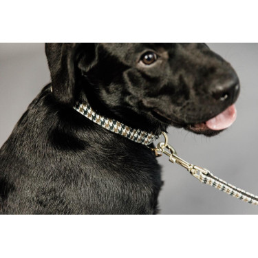 Trela para cão Pied-de-poule Kentucky Castanho