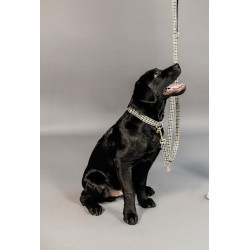 Trela para cão Pied-de-poule Kentucky Castanho