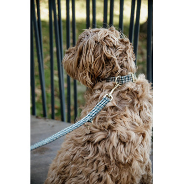 Trela para cão Pied-de-poule Kentucky Castanho