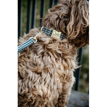 Trela para cão Pied-de-poule Kentucky Castanho