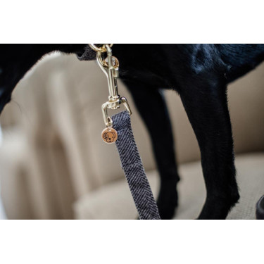 Trela para cão Wool Longa Kentucky Trela para cão Wool Longa Kentucky