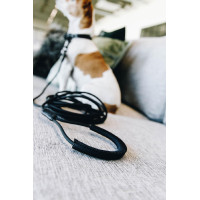 Laisse Soft Rubber Kentucky Preto