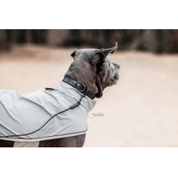 Laisse Soft Rubber Kentucky Preto