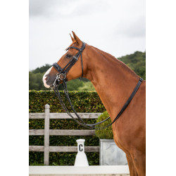 Bridão Dy'on coleção dressage couro liso Cilha Larga Envernizada
