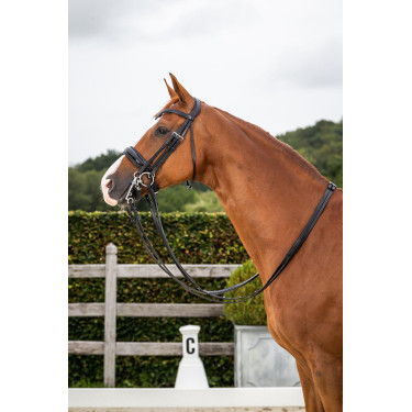 Bridão Dy'on coleção dressage couro liso Cilha Larga Envernizada