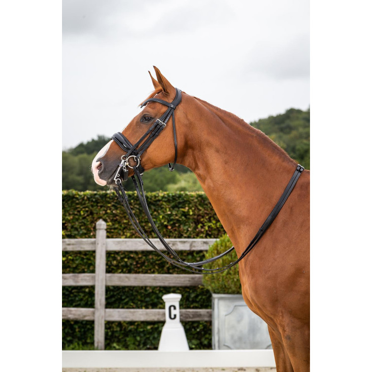 Bridão Dy'on coleção dressage couro liso Cilha Larga Envernizada