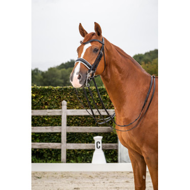 Bridão coleção Dy'on dressage couro liso Cnosebando Largo Envernizado Forro Branco Bridão coleção Dy'on dressage couro liso Cnosebando Largo Envernizado Forro Branco