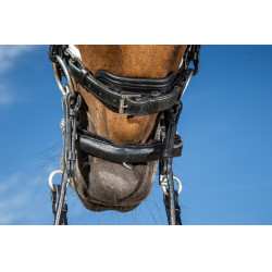 Bridão coleção Dy'on dressage couro liso Cnosebando Largo Envernizado Forro Branco Preto