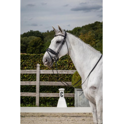 Bridão Dy'on coleção dressage couro redondo Cavesseira Combinada Larga