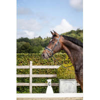 Bridão coleção Dy'on dressage couro liso Cavesseira Combinada Larga Envernizada Forro Branco Preto
