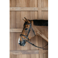 Bridon Working by Dy'on noseband combinada com mosquetões Castanho Bridon Working by Dy'on noseband combinada com mosquetões Castanho