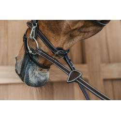 Bridon Working by Dy'on noseband combinada com mosquetões Castanho