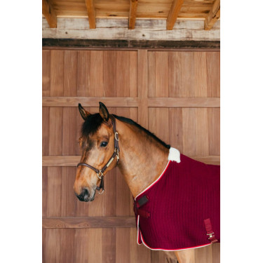 Capa secante Kentucky PROtherm Capa secante Kentucky PROtherm