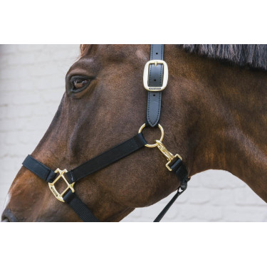 Cabezada de Nylon Breakaway Kentucky Cabezada de Nylon Breakaway Kentucky