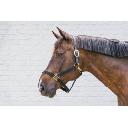 Cabezada de Nylon Breakaway Kentucky Preto Cabezada de Nylon Breakaway Kentucky Preto