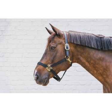 Cabezada de Nylon Breakaway Kentucky Cabezada de Nylon Breakaway Kentucky